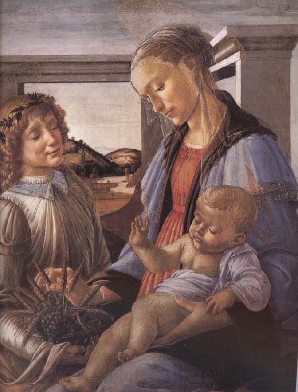 Sandro Botticelli Our Lady of the Son and the Angels Norge oil painting art